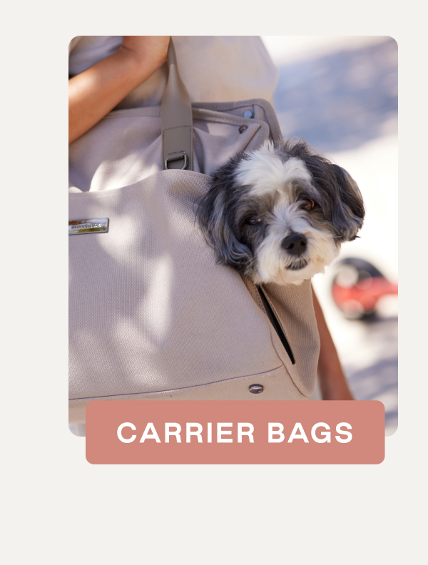 Shop Carrier Bags 