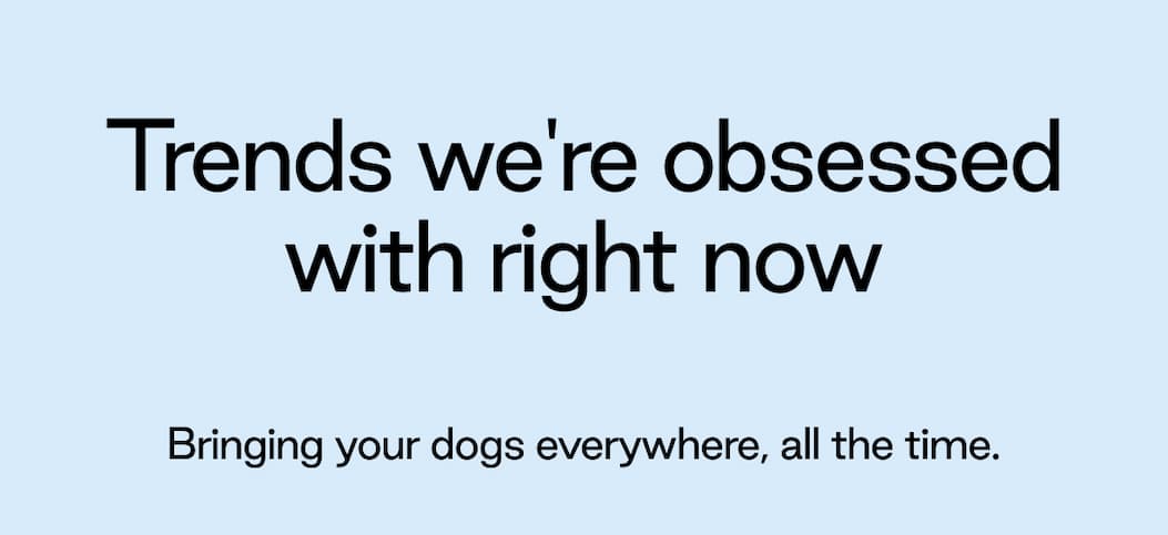 Trends we're obsessed with right now