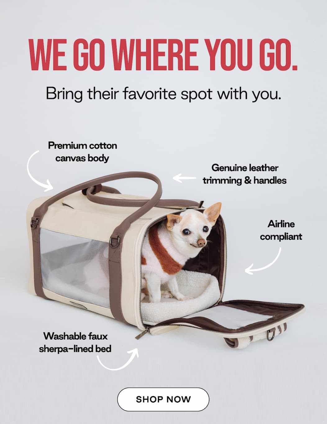 First-Class Comfort for Your Pet, Wherever You Go