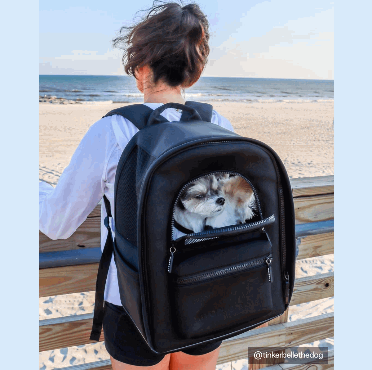 Traveling without your dog is a thing of the past