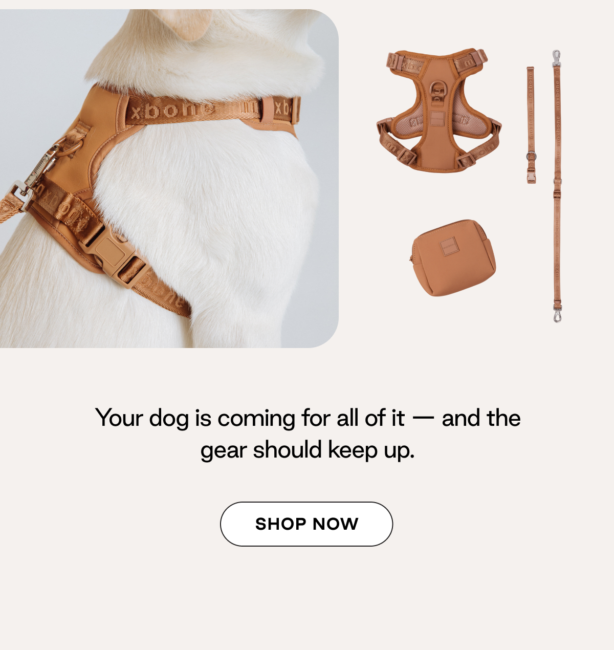 Go! With Ease Leash Bundle
