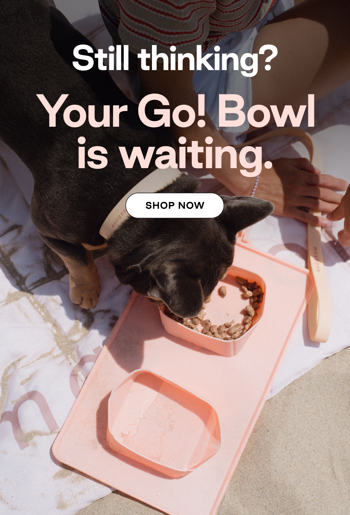 Your Go! Bowl is Waiting