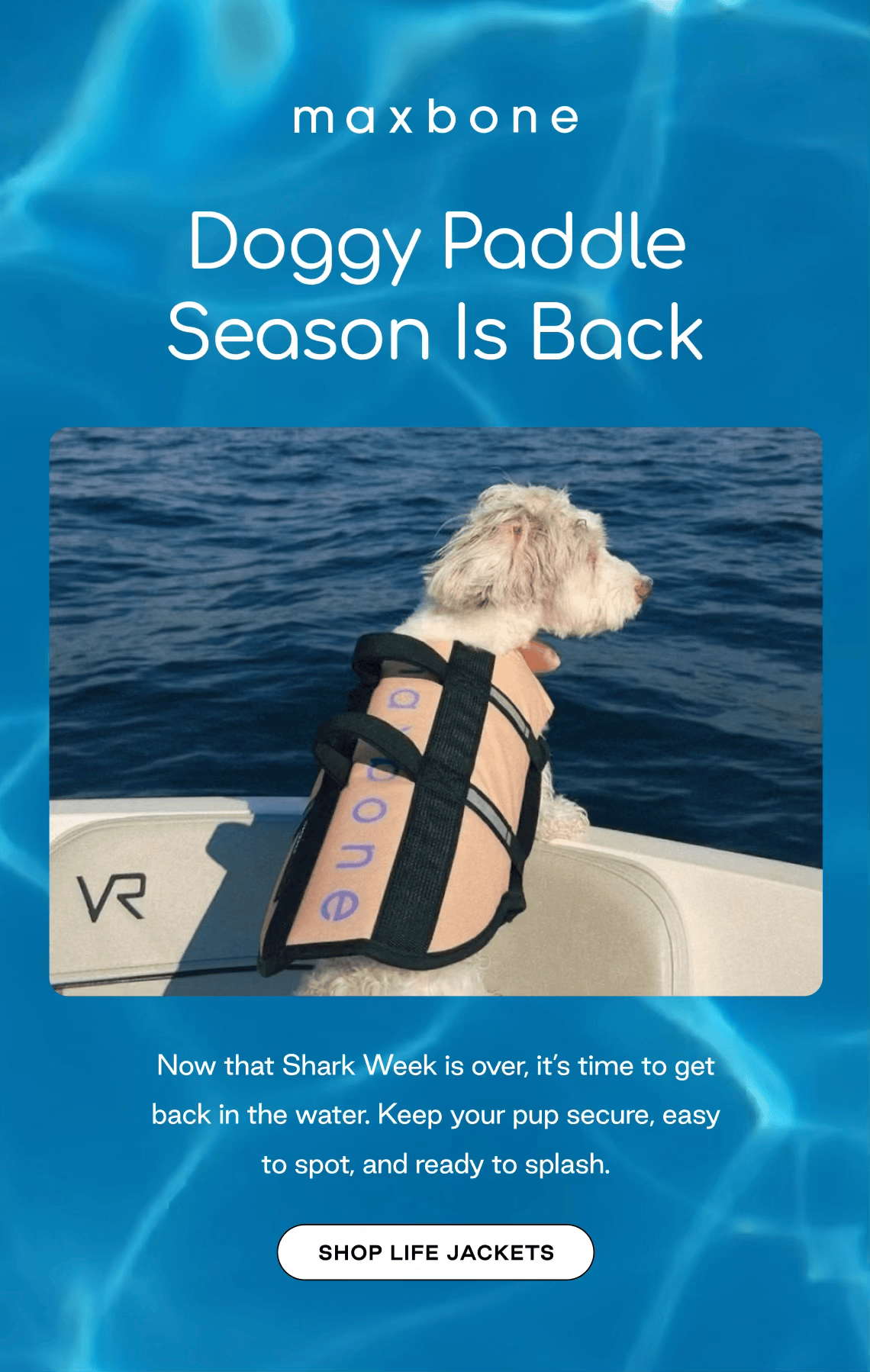Shop maxbone Life Jacket 