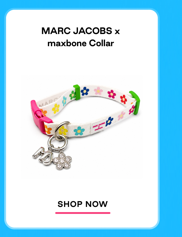 Shop collar