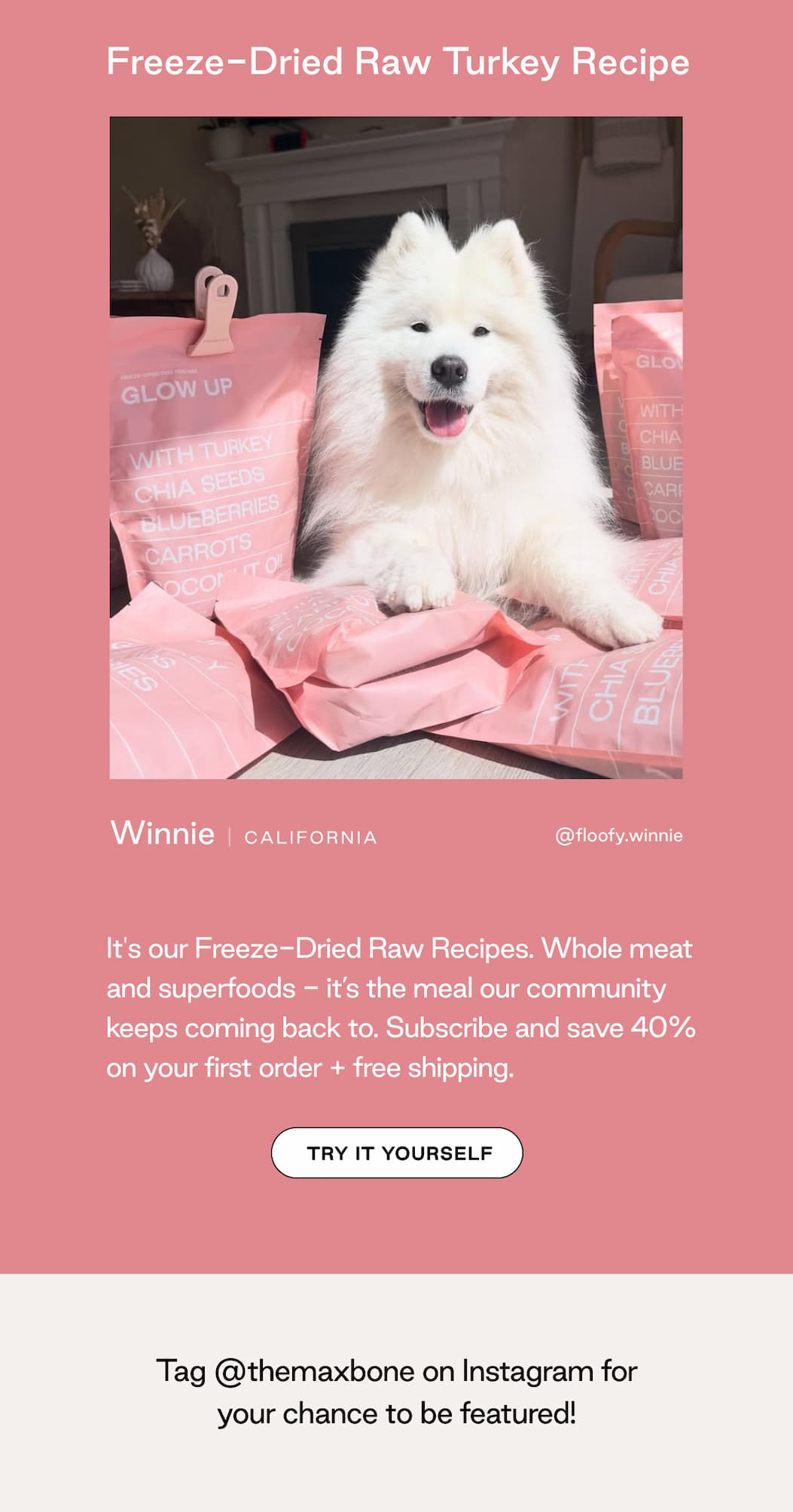 Your dog gets more out of every bite - while you keep meal time simple.