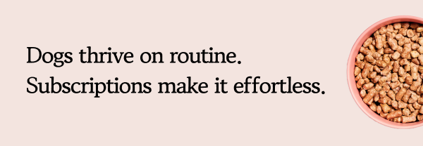 Dogs thrive on routine