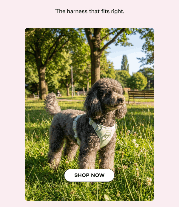 We support good decisions