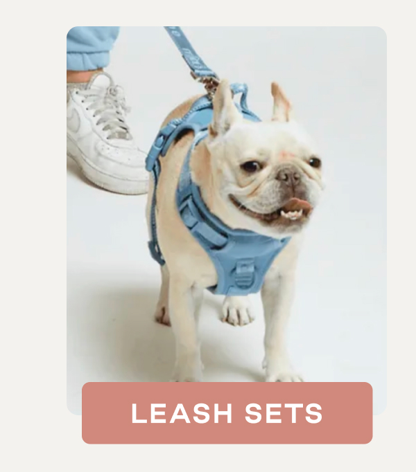 Shop Leash Sets 
