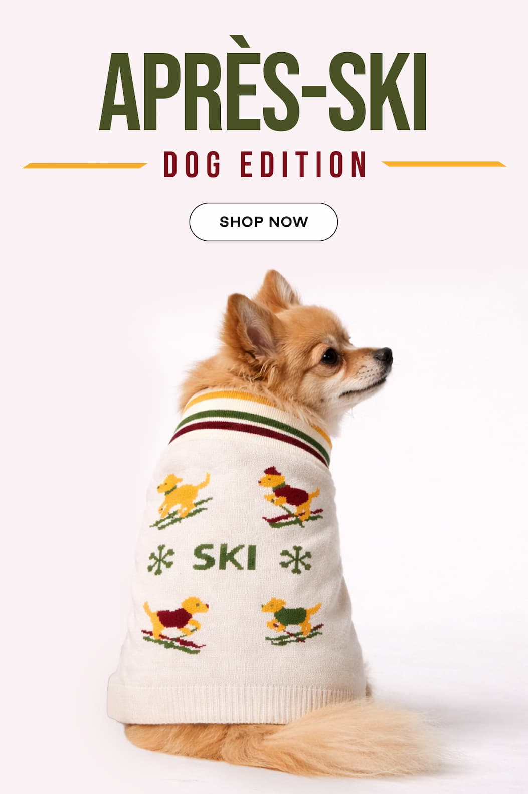 APRES-SKI DOG EDITION