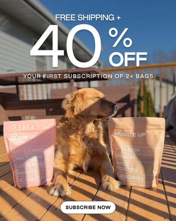 Free Shipping + 40% Off Your First Subscription of 2+ Bags