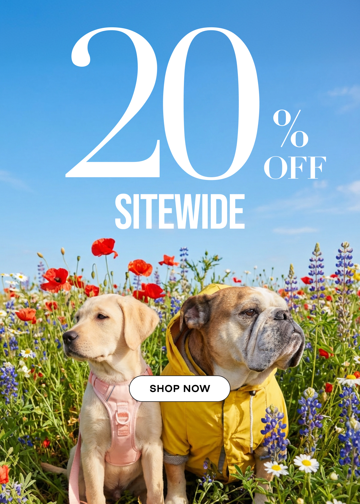 20% Sitewide, Code SPRING20