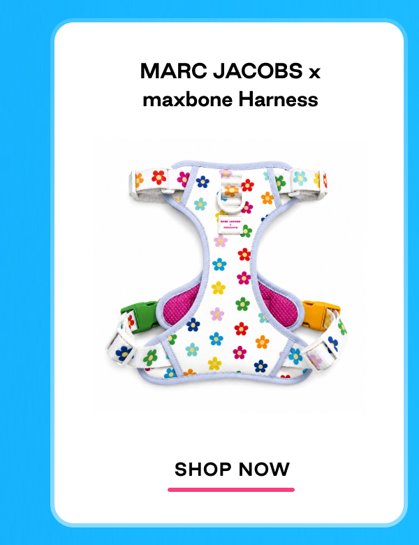 Shop harness