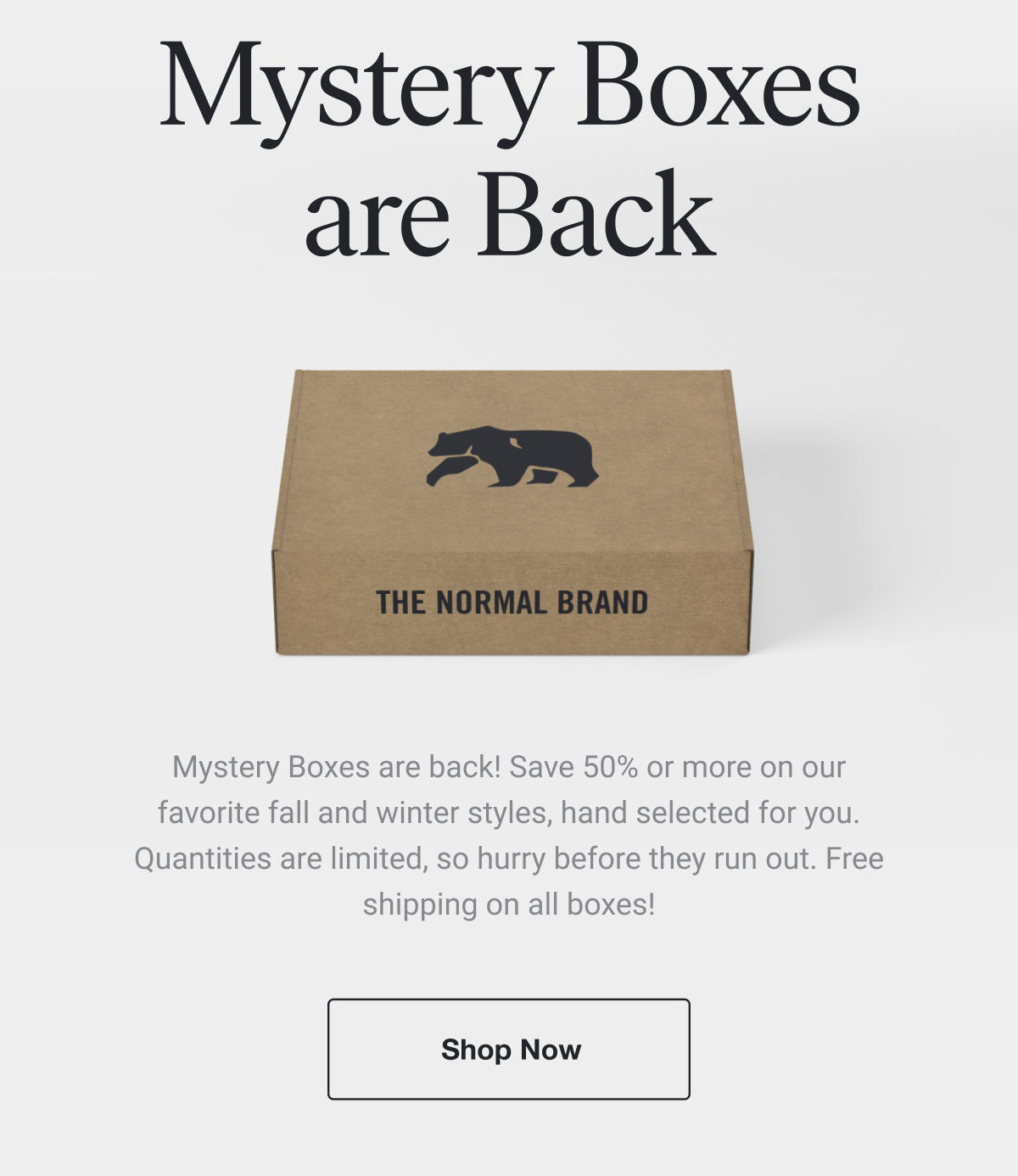 Our BEST Mystery Box yet 📦 (quantities limited) The Normal Brand