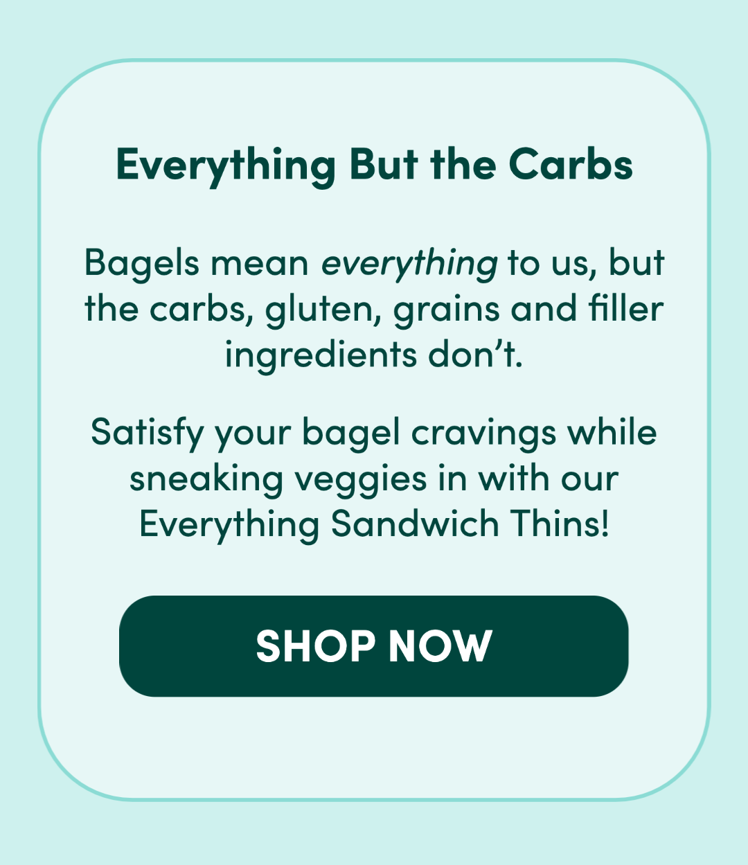 celebrate national bagel day 🥯 Outer Aisle Gourmet
