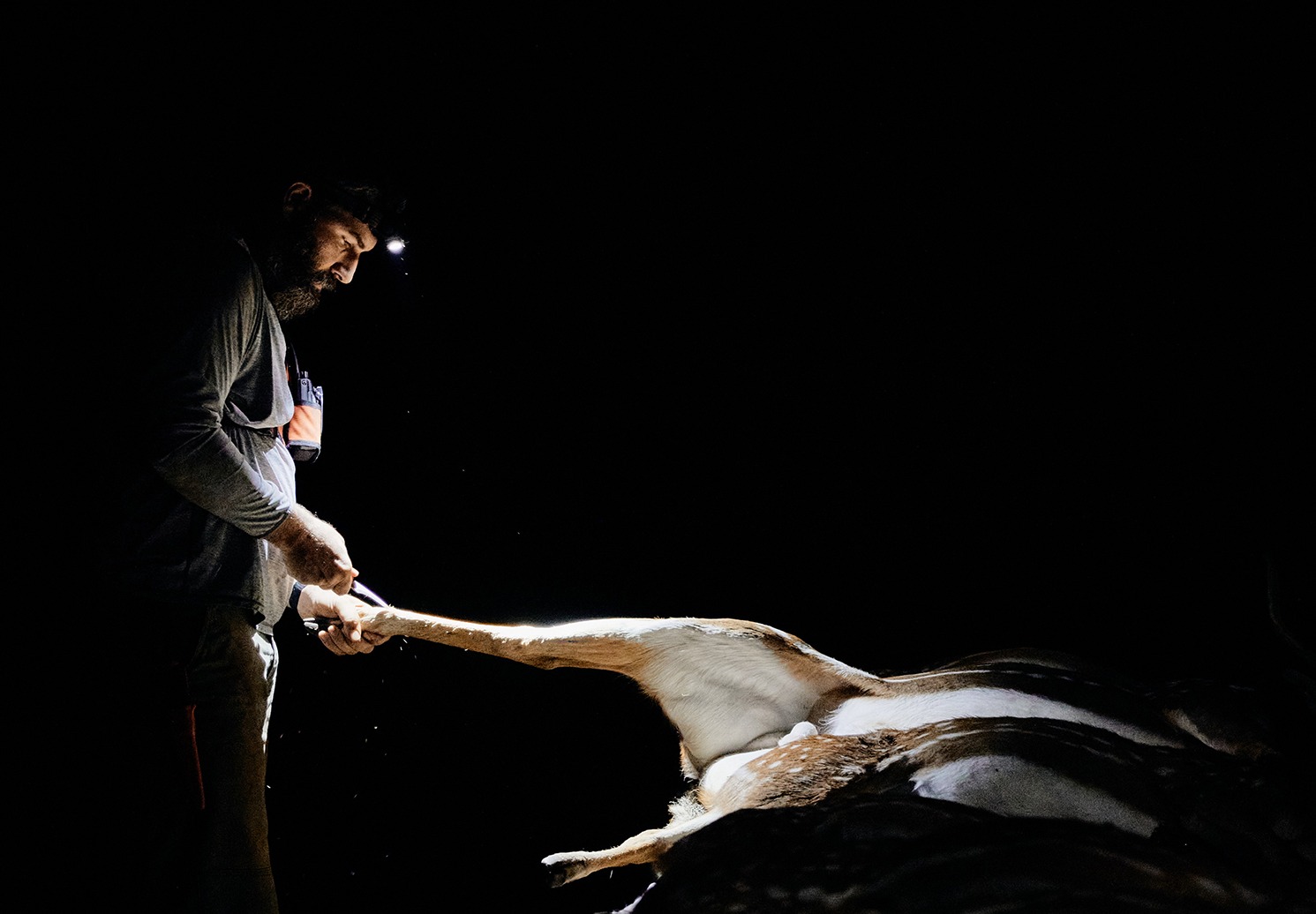 CEO Jake Muise cutting the leg skin of a freshly harvested Axis deer