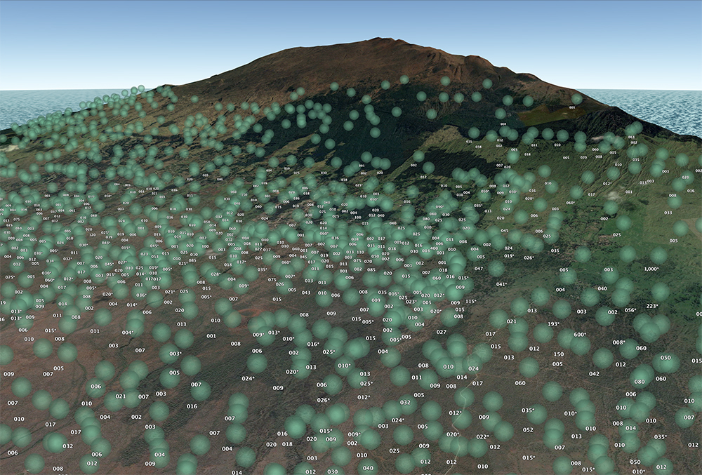 Survey mapping of deer herd populations on Maui in 2021
