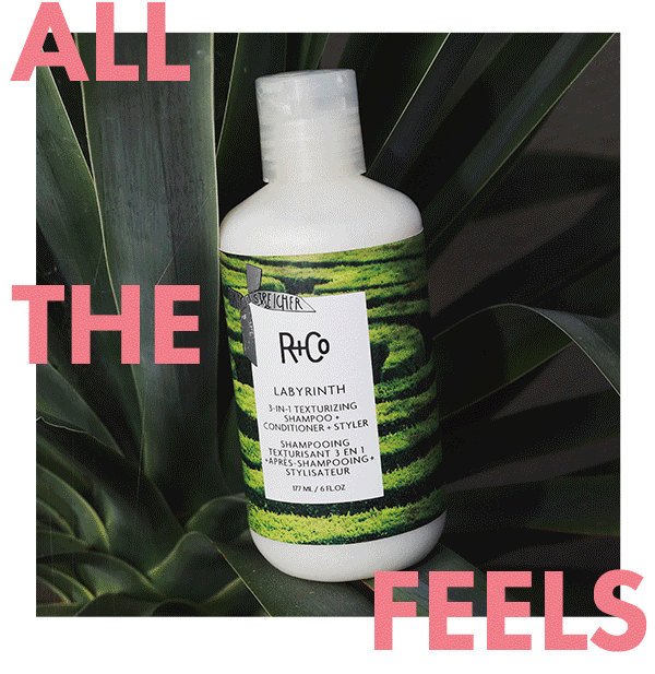 All the Feels for NEW R+Co Releases R & Co