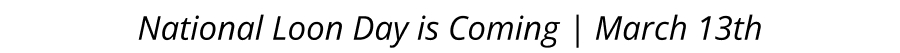 National Loon Day is Coming | March 13th