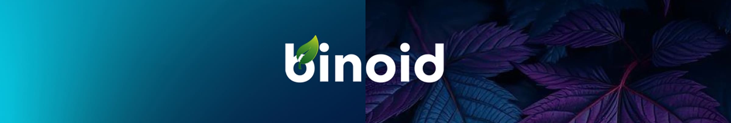 binoid