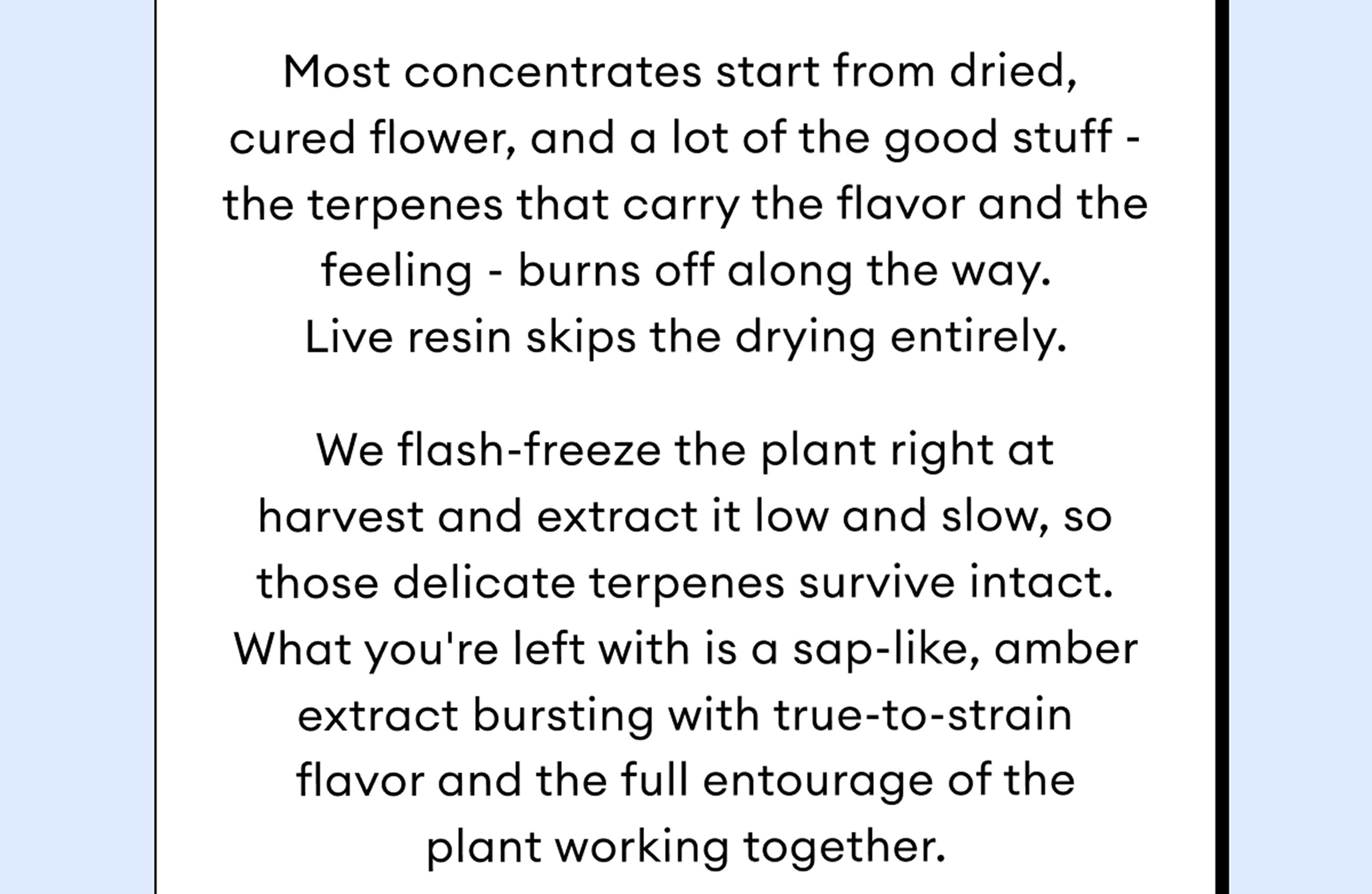 Most concentrates start from dried, cured flower, and a lot of the good stuff - the terpenes that carry the flavor and the feeling - burns off along the way. Live resin skips the drying entirely. | We flash-freeze the plant right at harvest and extract it low and slow, so those delicate terpenes survive intact. What you're left with is a sap-like, amber extract bursting with true-to-strain flavor and the full entourage of the plant working together.