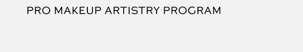 Makeup Artist Program