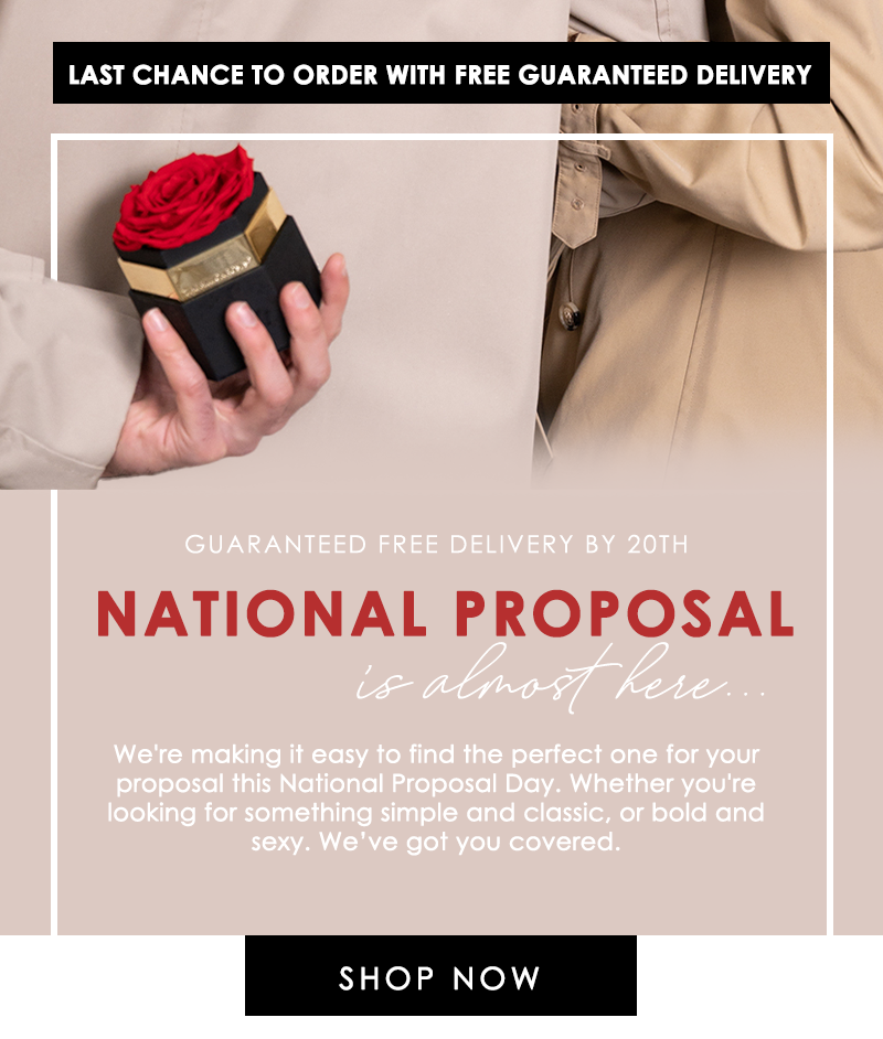 roses-for-the-perfect-proposal-the-million-roses