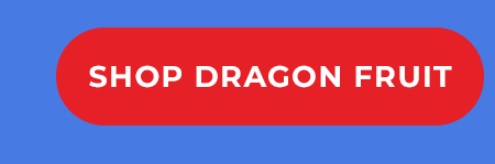 SHOP Dragon Fruit