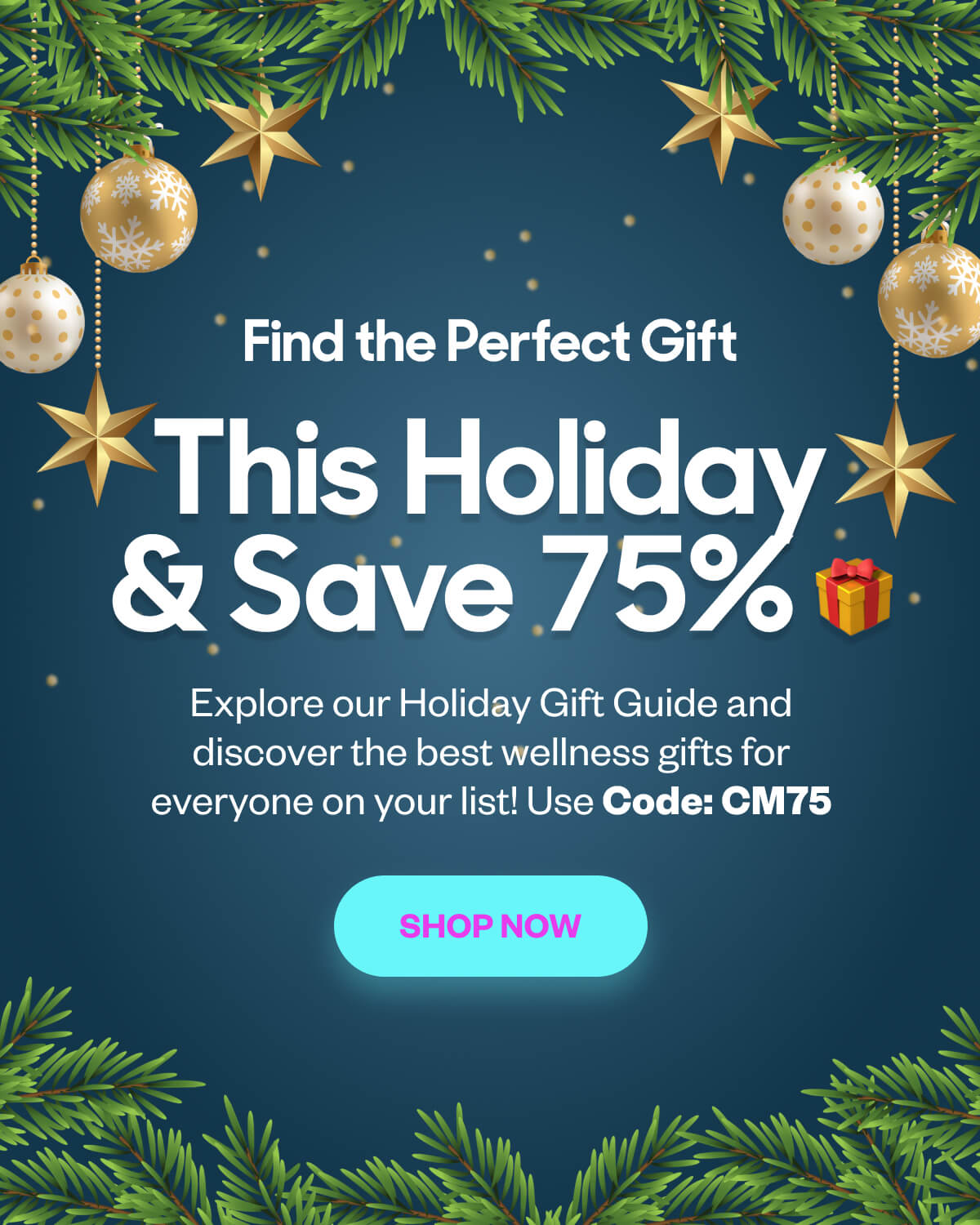Find the Perfect Gift This Holiday Season! 🎁 Explore our Holiday Gift Guide and discover the best wellness gifts for everyone on your list! Shop Now
