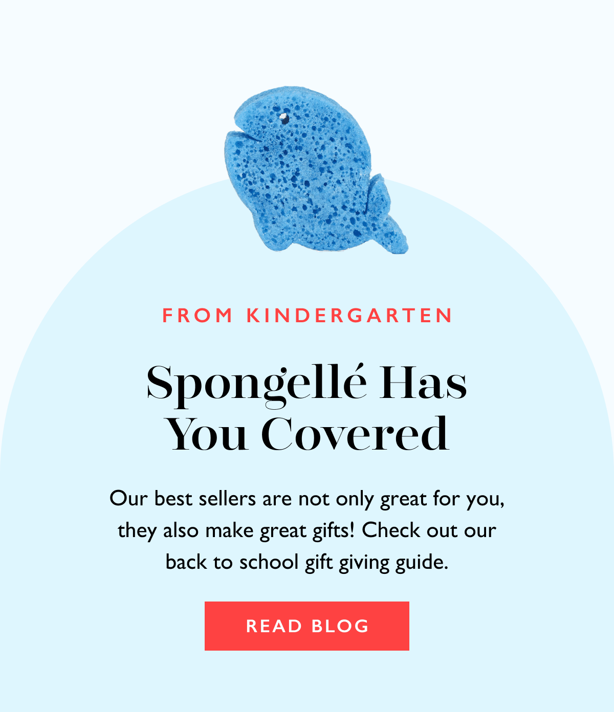 From Kindergarten to College Spongellé Has You Covered