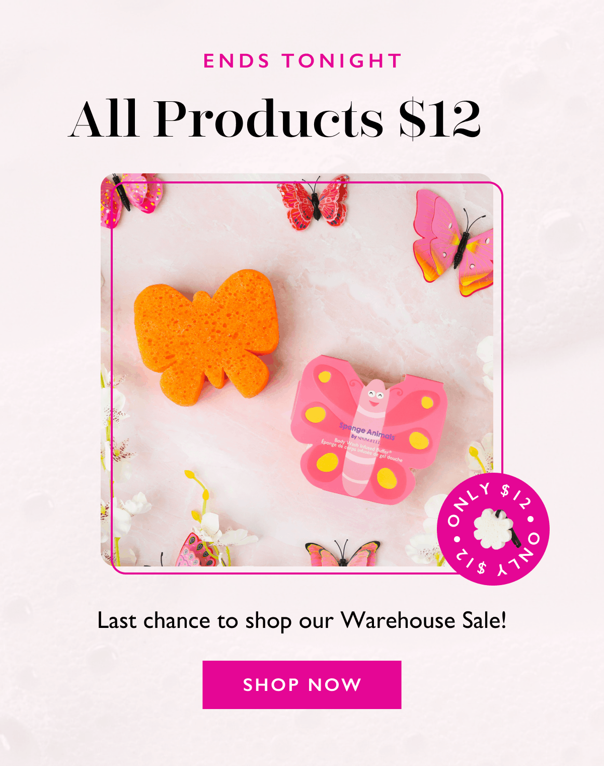 ENDS TONIGHT SHOP NOW