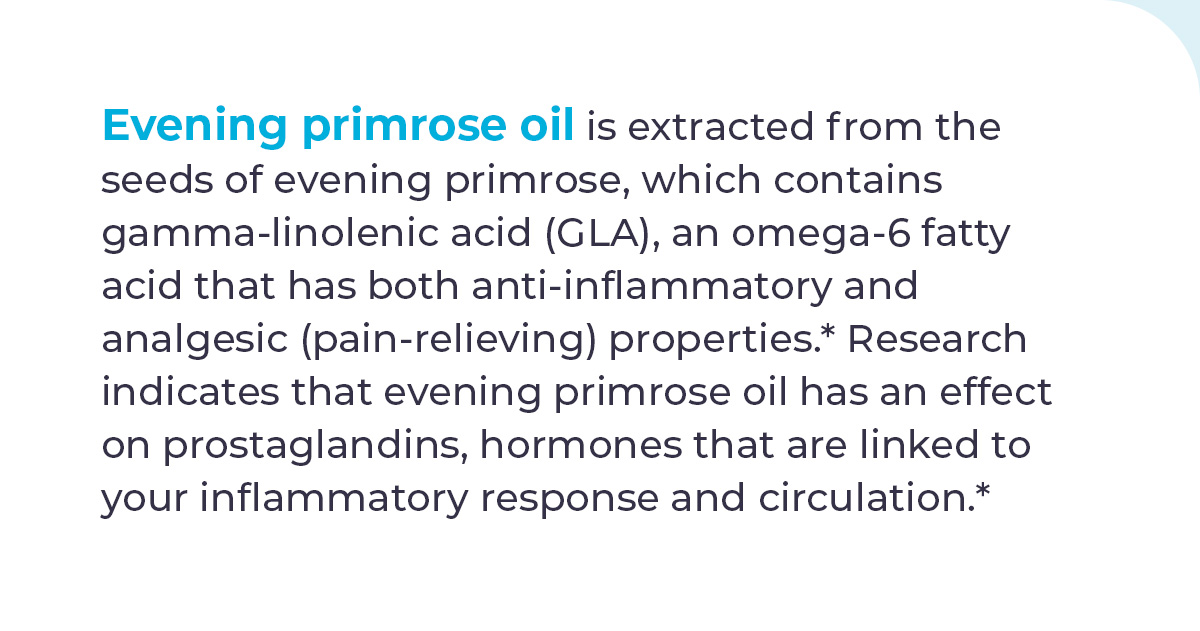 What Is Evening Primrose Oil, Anyway? 🤔 BodyBio