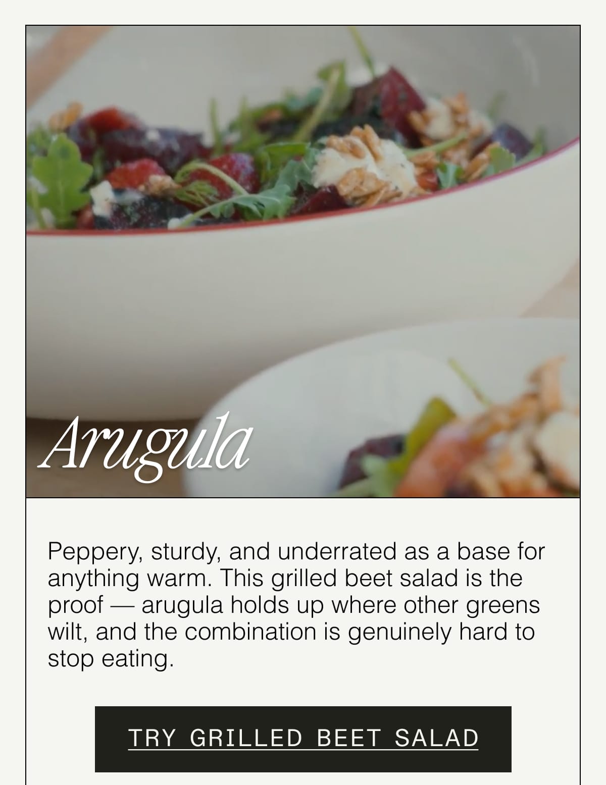 Argula: Peppery, sturdy, and underrated as a base for anything warm. This grilled beet salad is the proof — arugula holds up where other greens wilt, and the combination is genuinely hard to stop eating. TRY GRILLED BEET SALAD