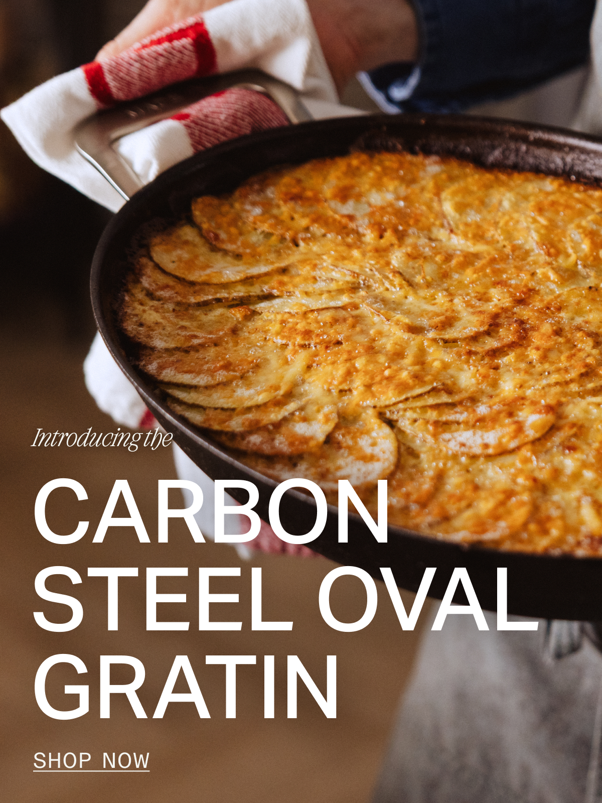 Introducing the all new Carbon Steel Gratin