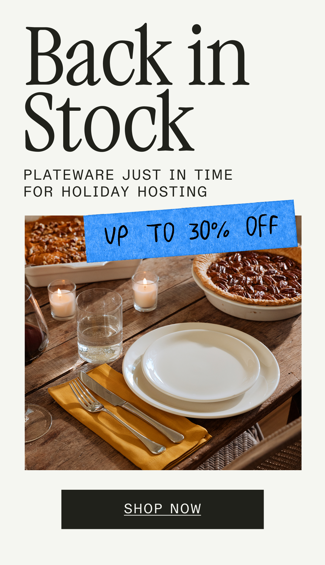 Back in Stock - Plateware just in time for Holiday Hosting -- SHOP