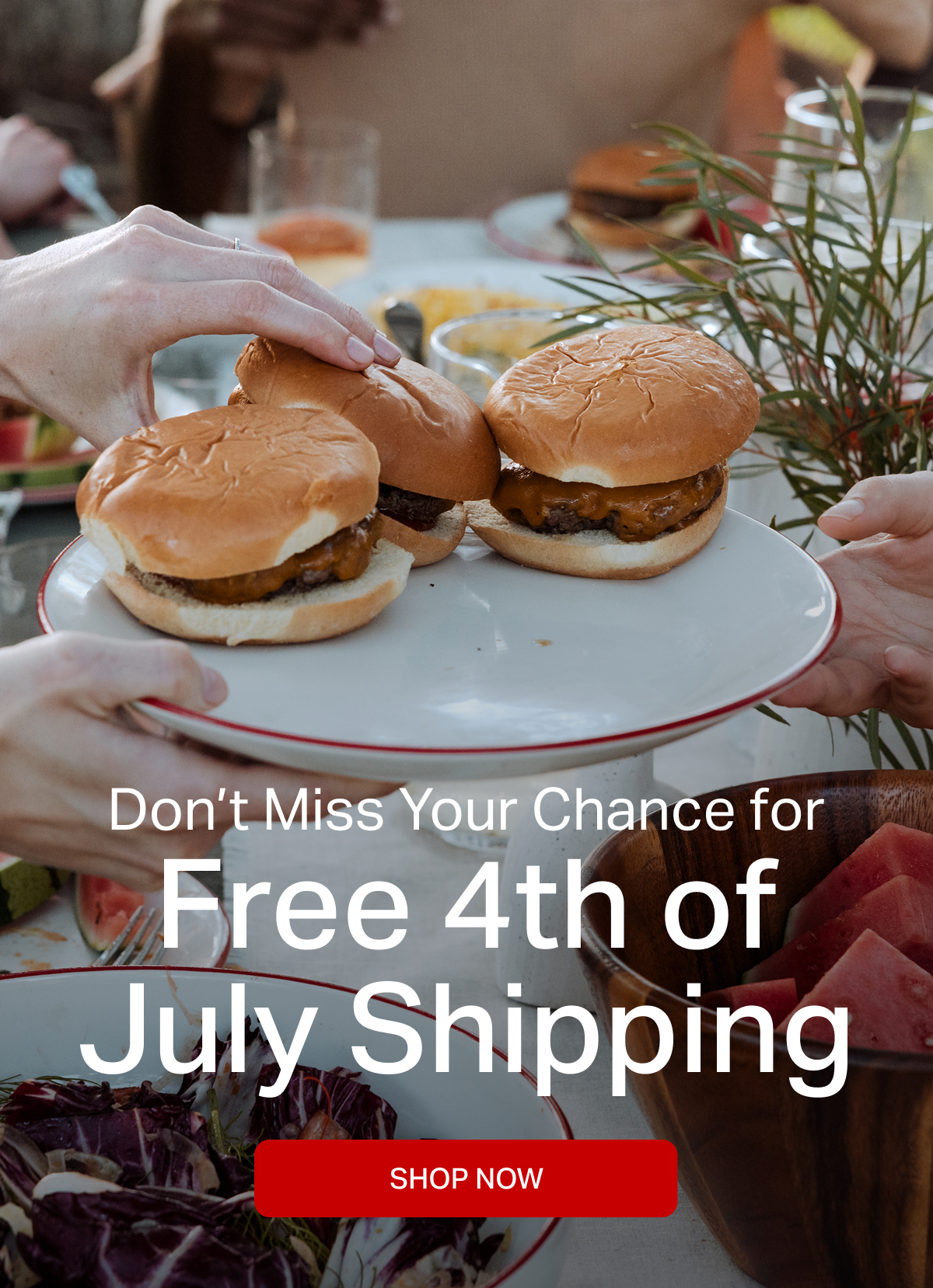 Don't Miss Your Chance for FREE 4th of July Shipping