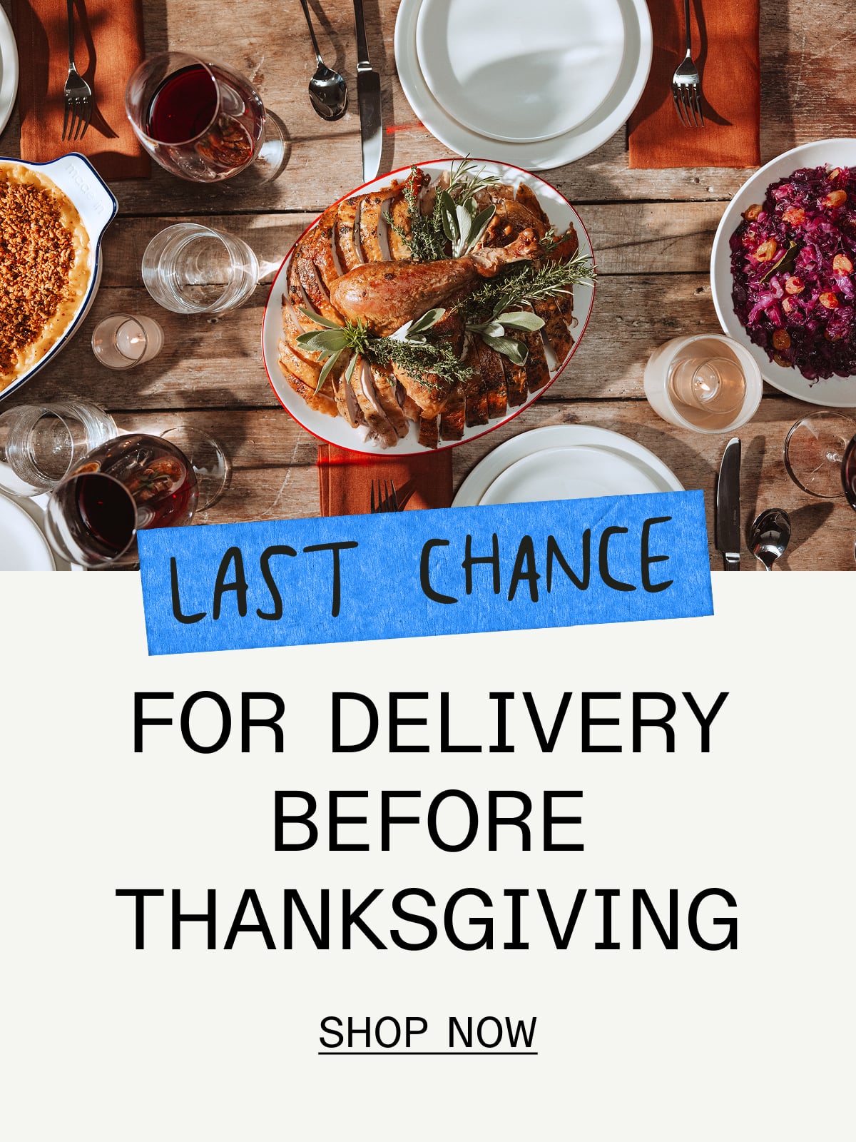 Last Chance for Delivery Before Thanksgiving SHOP NOW