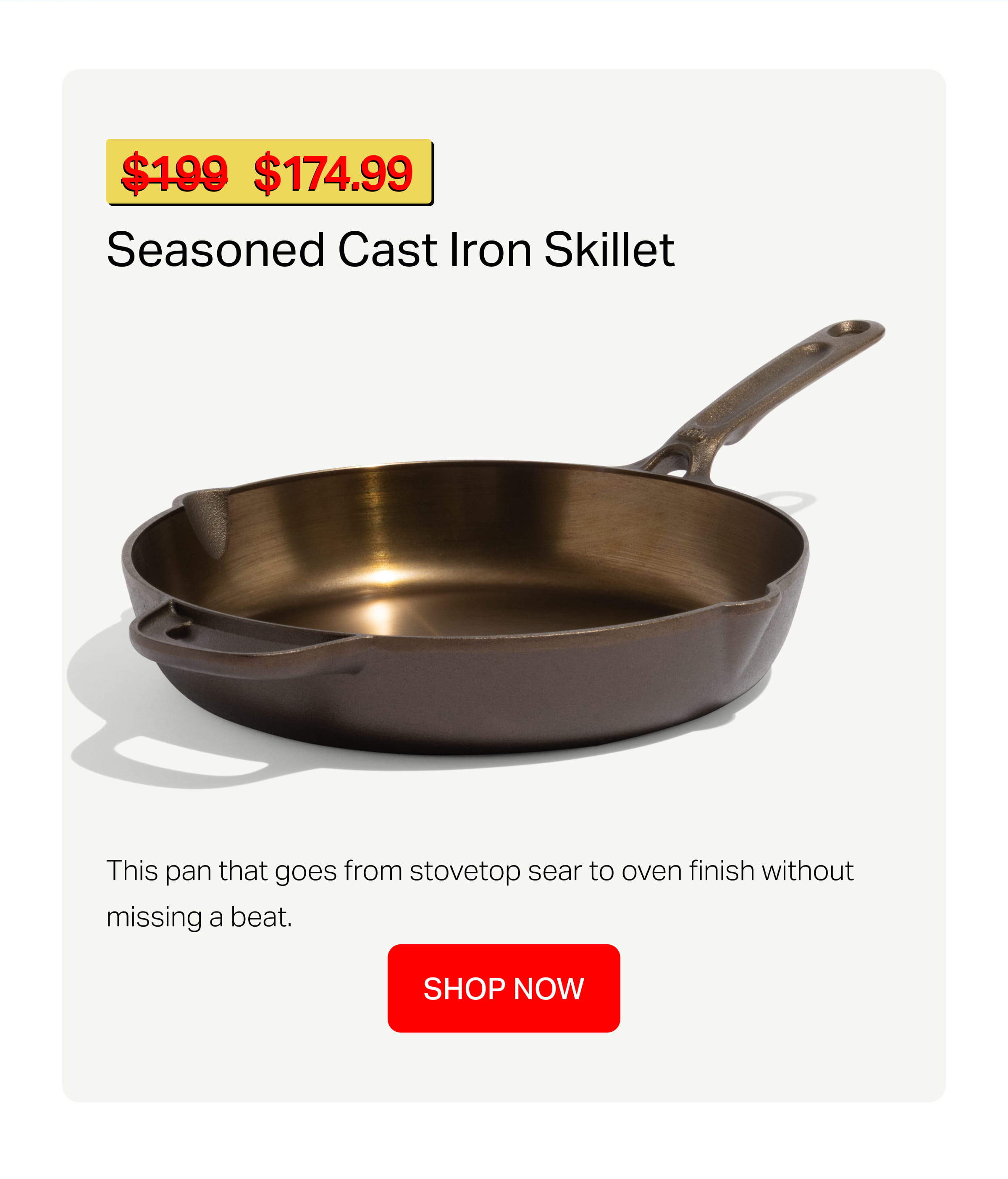 Seasoned Cast Iron Skillet