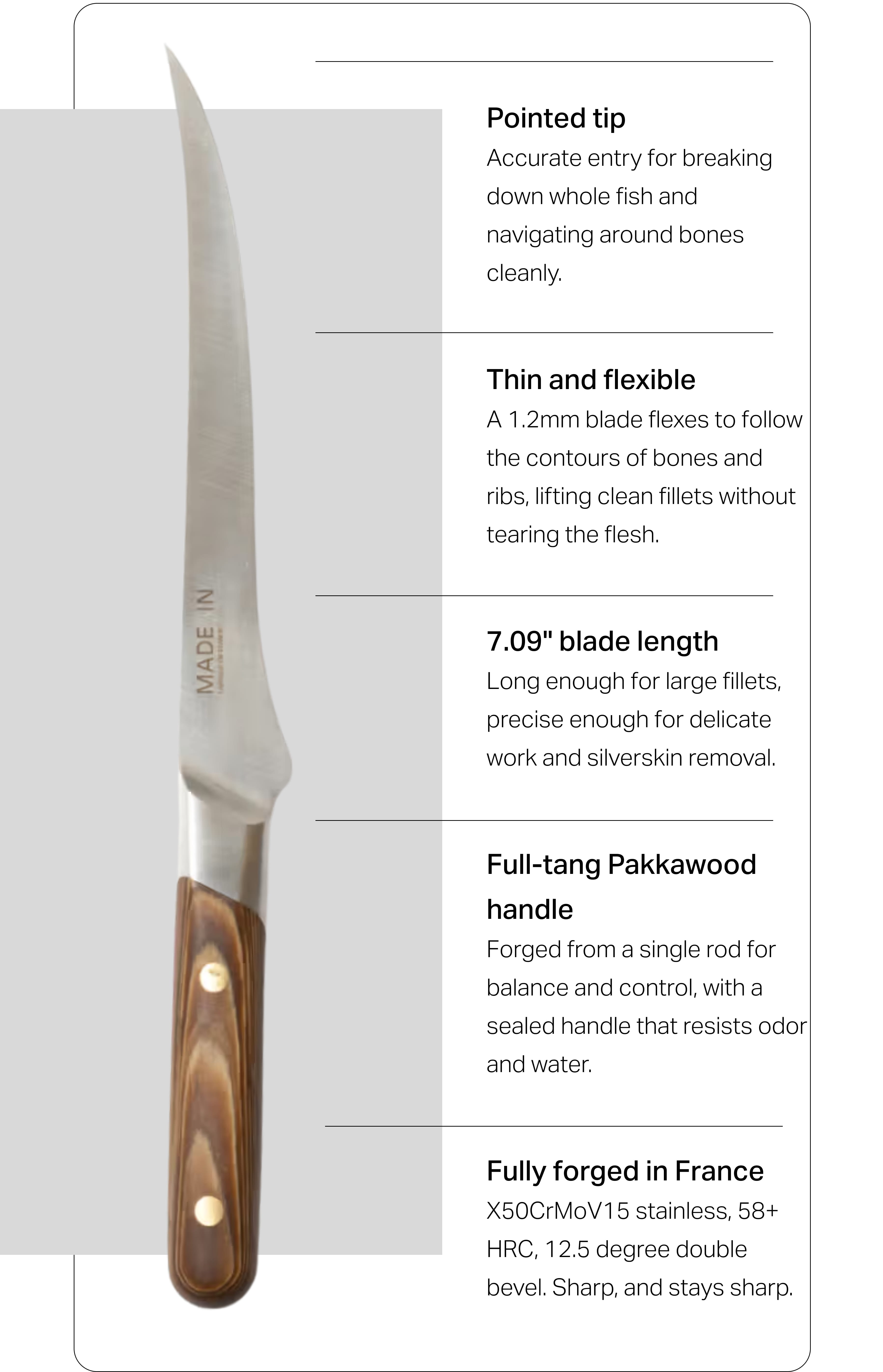 Shop Pakkawood Fillet Knife