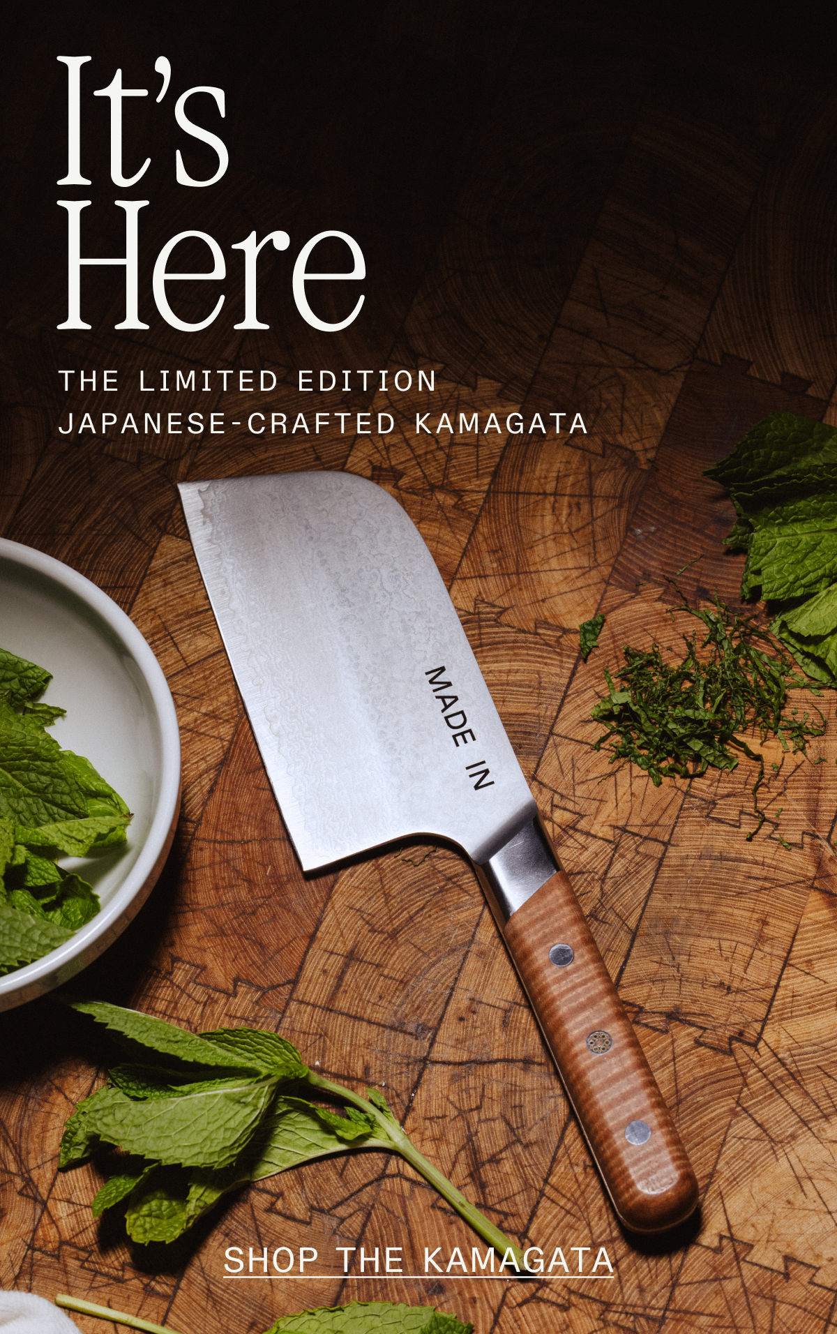 NOW AVAILABLE - KAMAGATA - SHOP