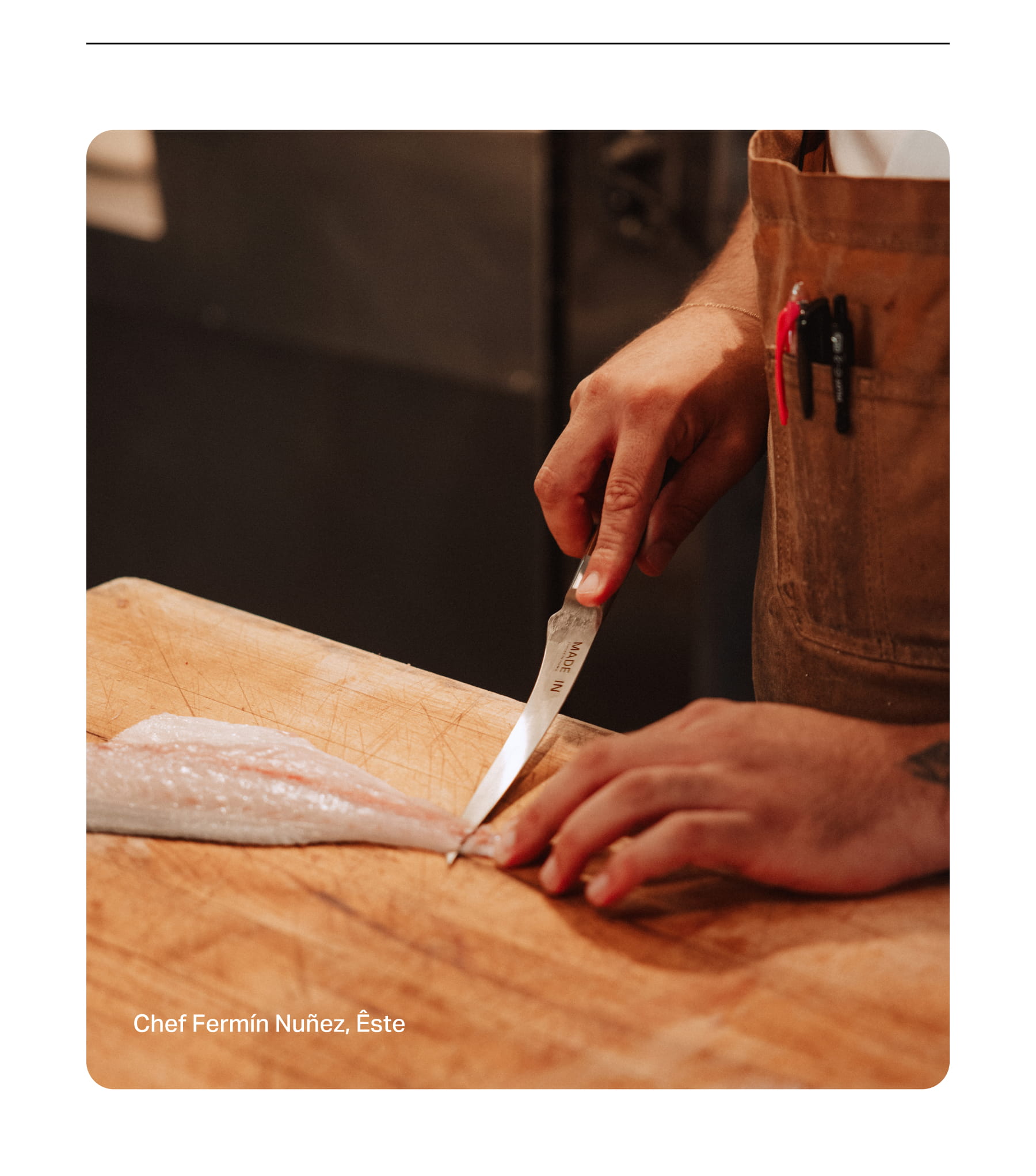 Shop Pakkawood Fillet Knife