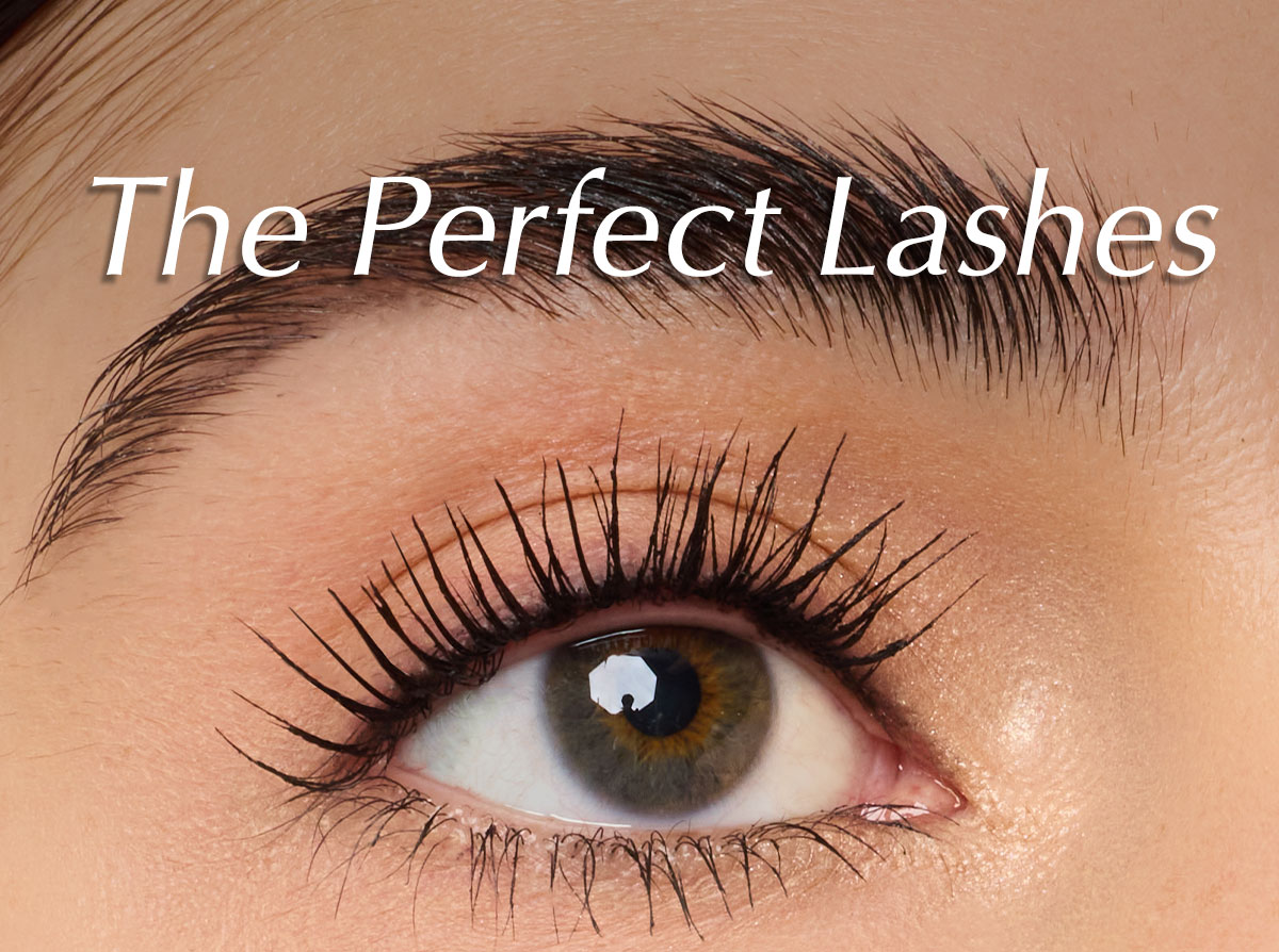 The Perfect Lashes