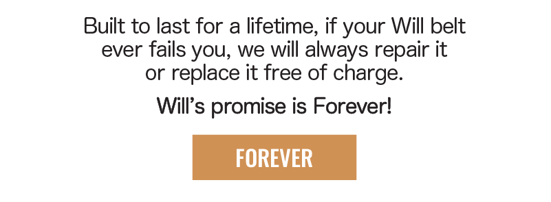 Will's Promise