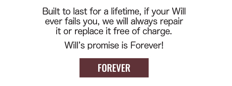 Will's Promise