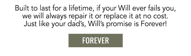 Will's Promise