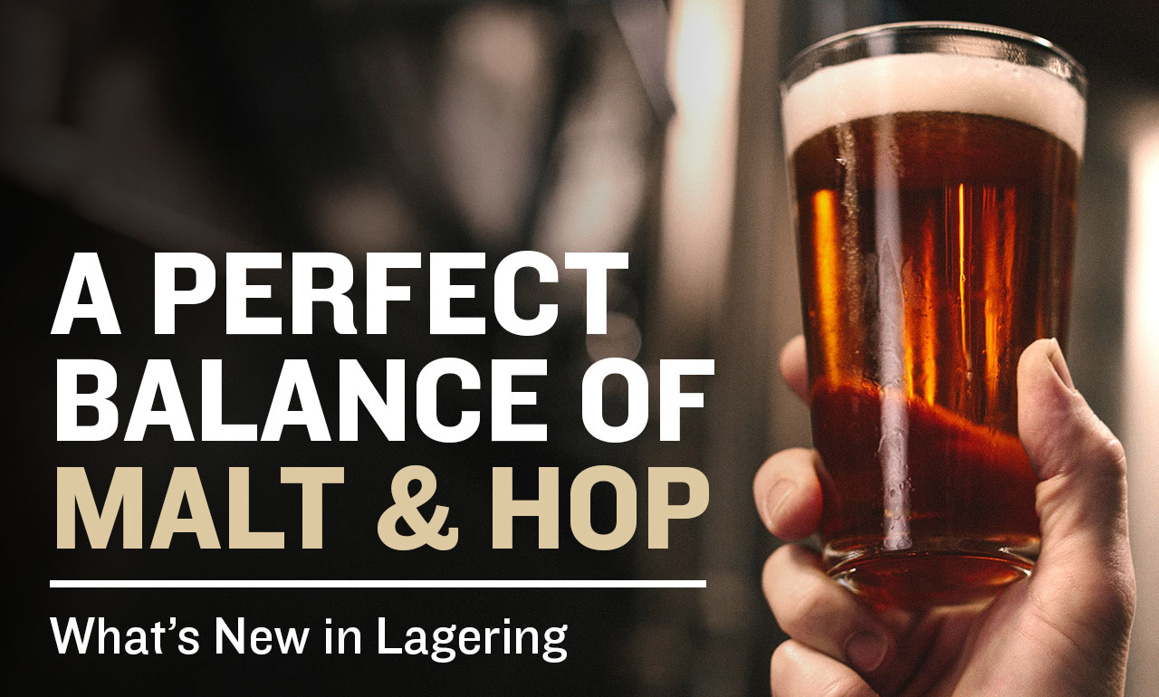 Lagers Brew Now, Enjoy Later Northern Brewer