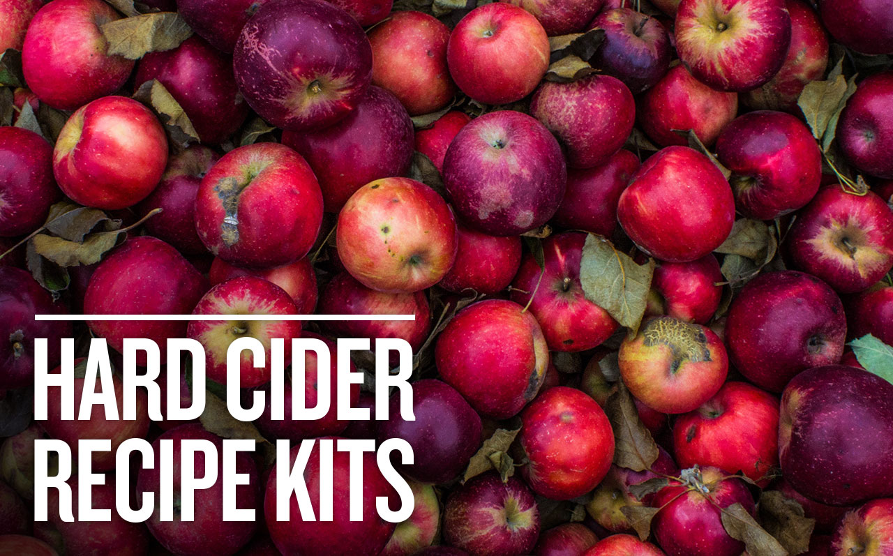 Fall Hard for Cider this Season 🍎 Northern Brewer