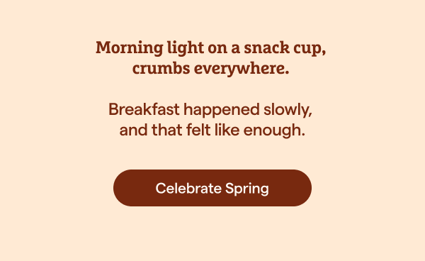 Morning Light on a Snack Cup, Crumbs Everywhere