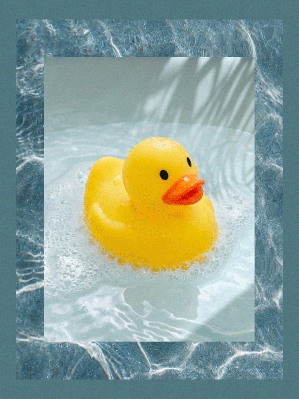 Duck gif