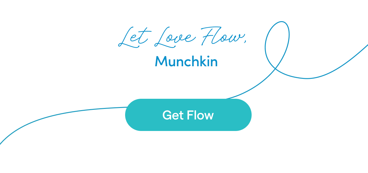 Let Love Flow, Munchkin