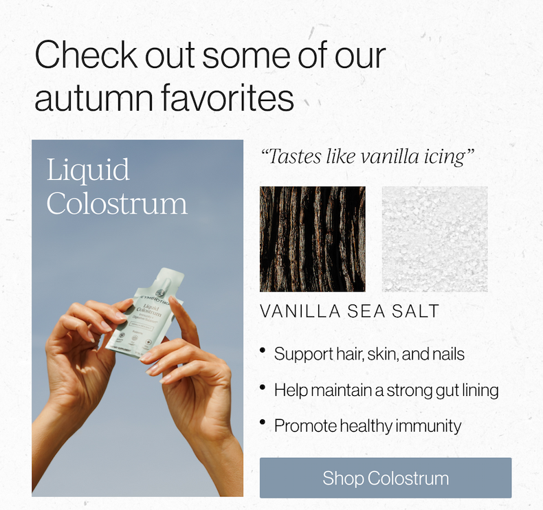 Check out some of our autumn favorites
